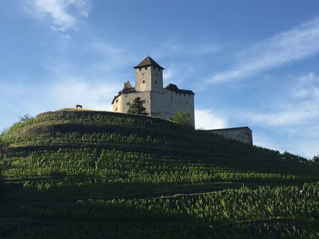 Wie wird aus Hilfe Entwicklung?