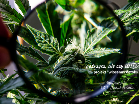 Patrzysz, ale czy… widzisz? | #2 wiosenny detoks