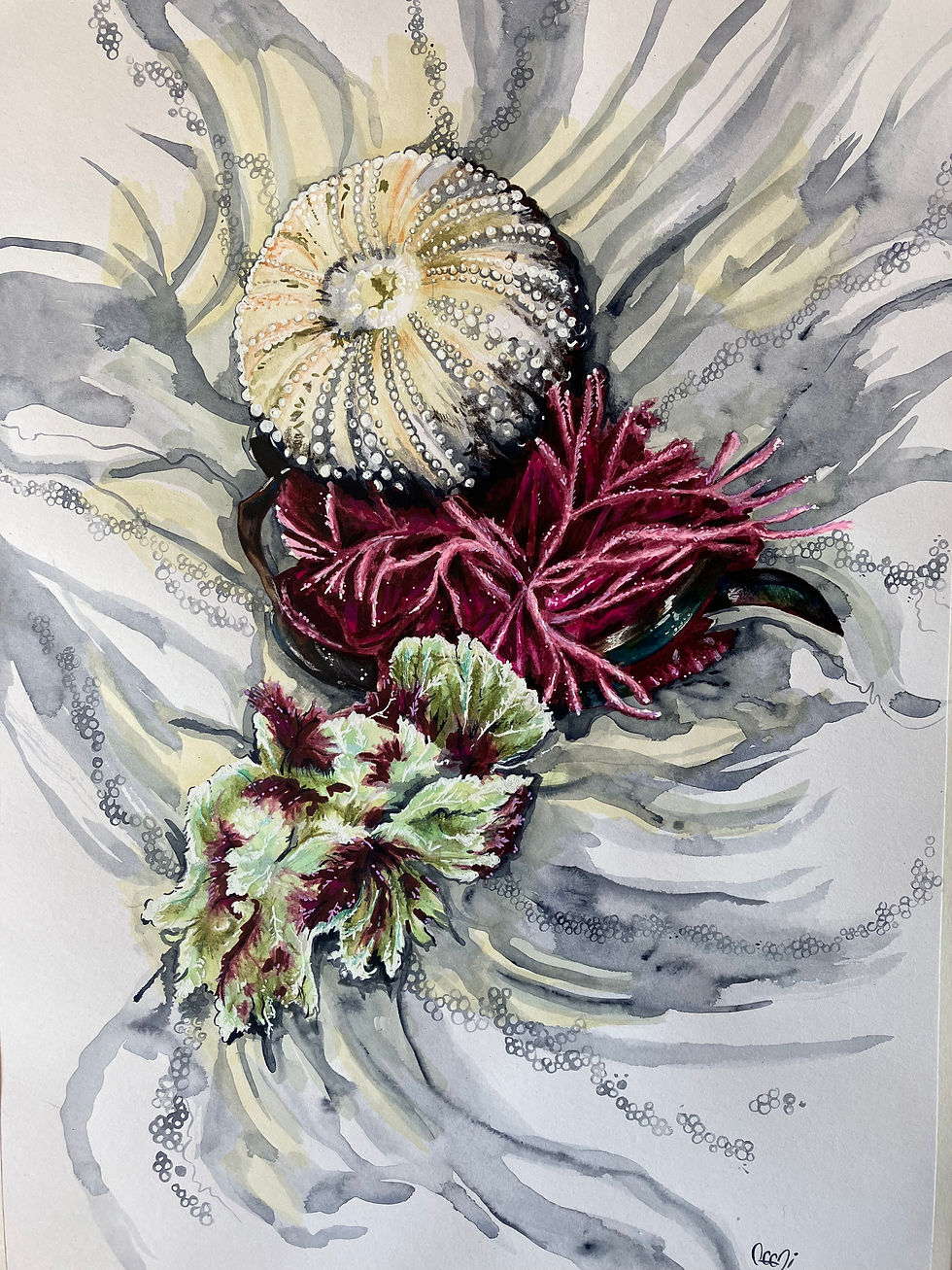 Arrangement with Sea Urchin