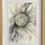Thumbnail: Sea Urchin
