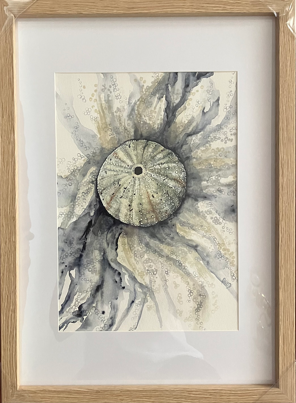 Thumbnail: Sea Urchin