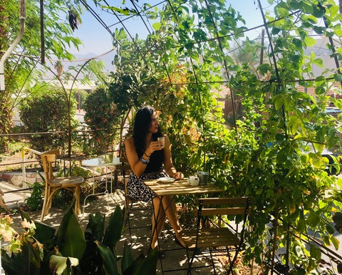 סיור קולינרי בשדרות התמרים - הרחוב הראשון של אילת!