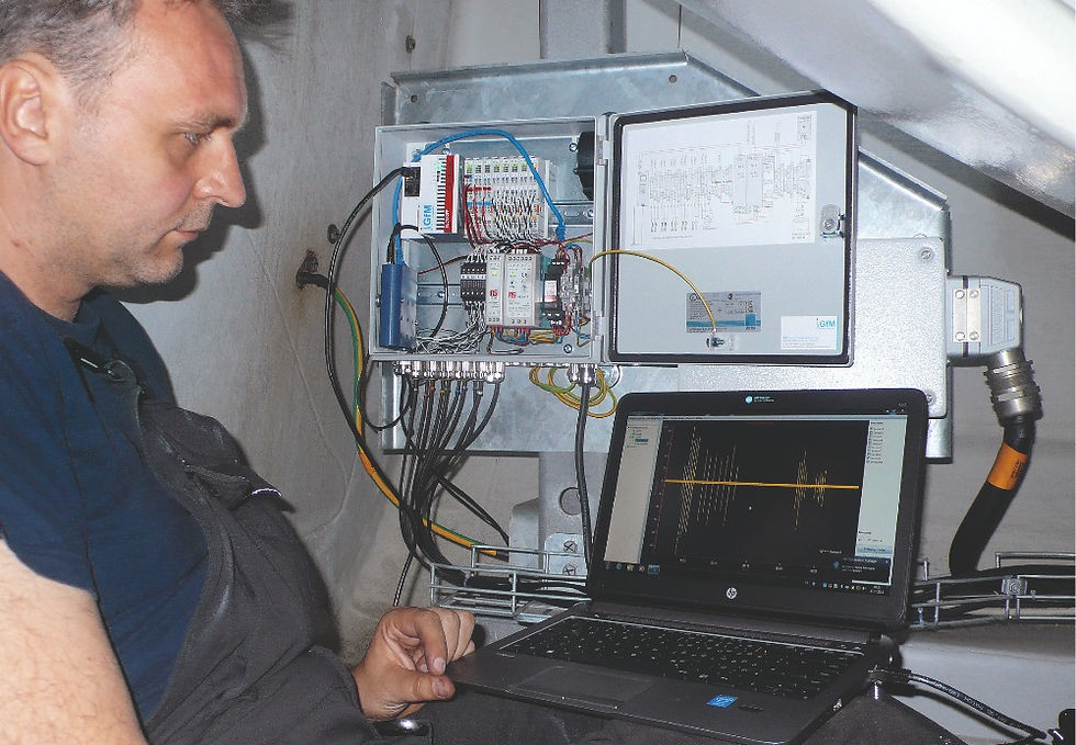 Wind turbine maintenance staff