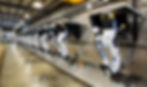 Genesis Systems NDI robotics