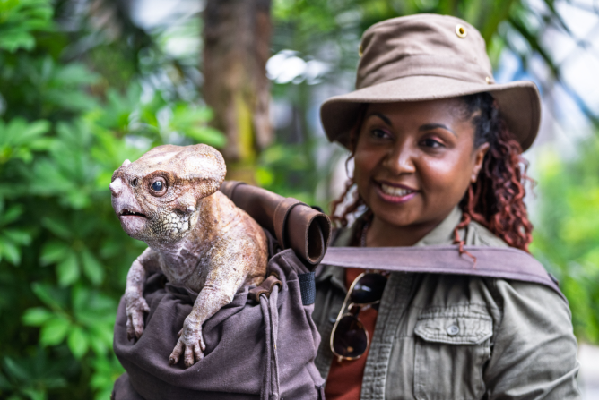 Courtesy of Universal