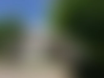 SAISON 2026 - INSCRIPTION AUX COURS  - Société artistique de Charlesbourg