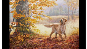 18 juin au 20 août 2025 - Incursion - Galerie du Trait-Carré