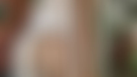 25 novembre 2025 - CRÉATION DE SERRE-LIVRES - MMAQ - FORMATION