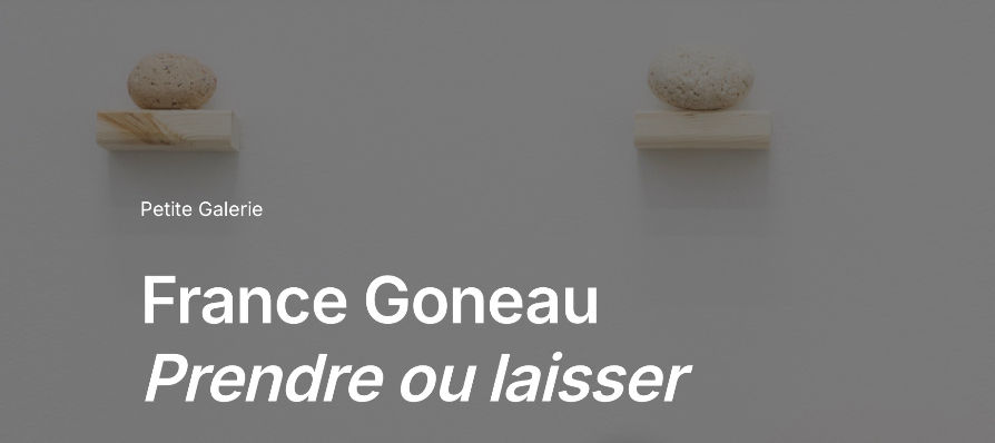 Monologue de la Forêt, Béchard Hudon. Exposition présenté à L’Oeil de Poisson, Québec