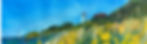 slice of nobsca with golden rods.jpg