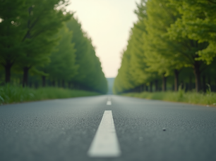 Essential Guide to Transportation Utilities for Wellness