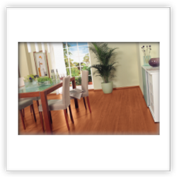 Laminate Flooring Douglasdale