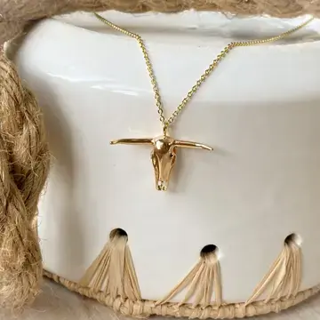 Thumbnail: The Longhorn Necklace