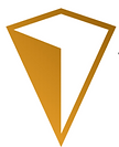 Vanguard Consultancy Logo