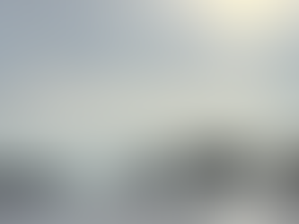 Have you written an email to Override Tree Ordinance?