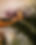 AdobeStock_526929955.jpeg