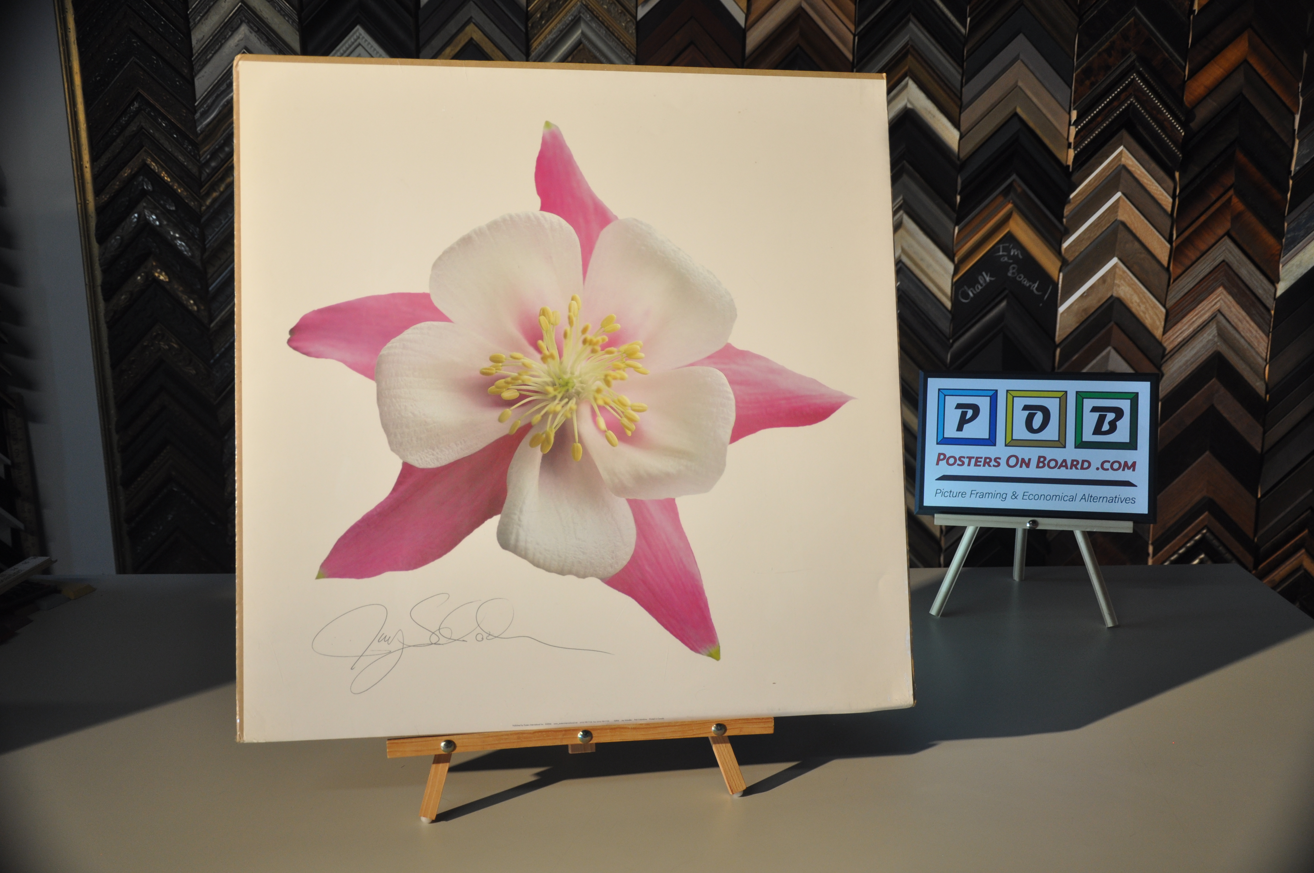 PostersOnBoard.com, Floral, Etc.