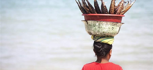 fish_catch_km_rm_16x9.jpg