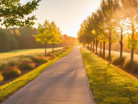 Sunrise Serenity: The Surprising Health Benefits of Morning Sunlight
