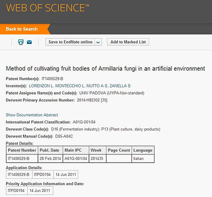 endoterapia BITE trunk injection