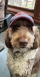 92e6e9a6-c82a-40d4-86d4-4ea6c8f7a308.jfif