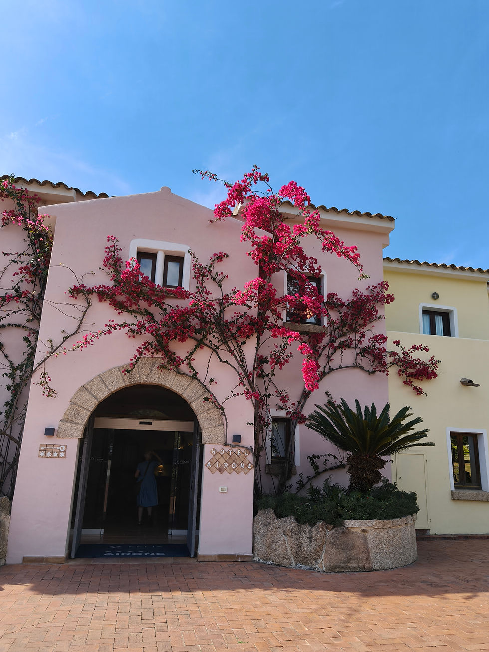 Airone Hotel in Baja Sardinia