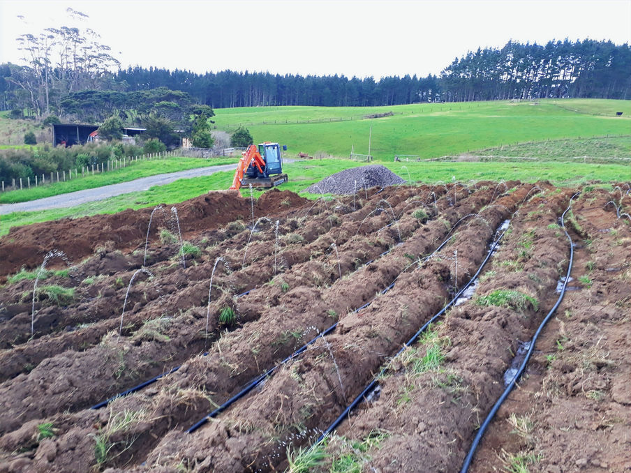 New LPED irrigation field for a passive gravity siphon septic system with no pumps