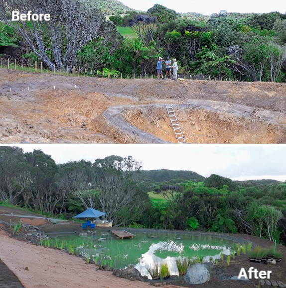 Completed freshwater pool built as part of a wetland construction project