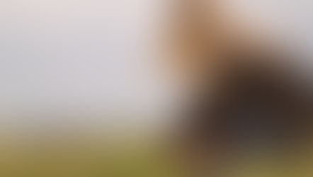 Fix What is Not Working