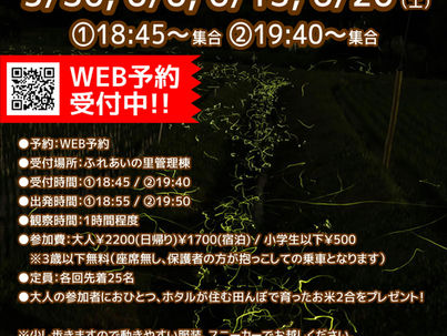 2026ホタルツアー開催