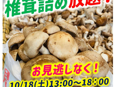椎茸詰め放題開催！