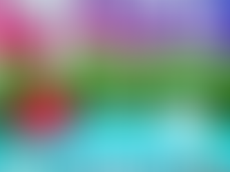 7/31sun第2回『テントサウナイベント』開催♪