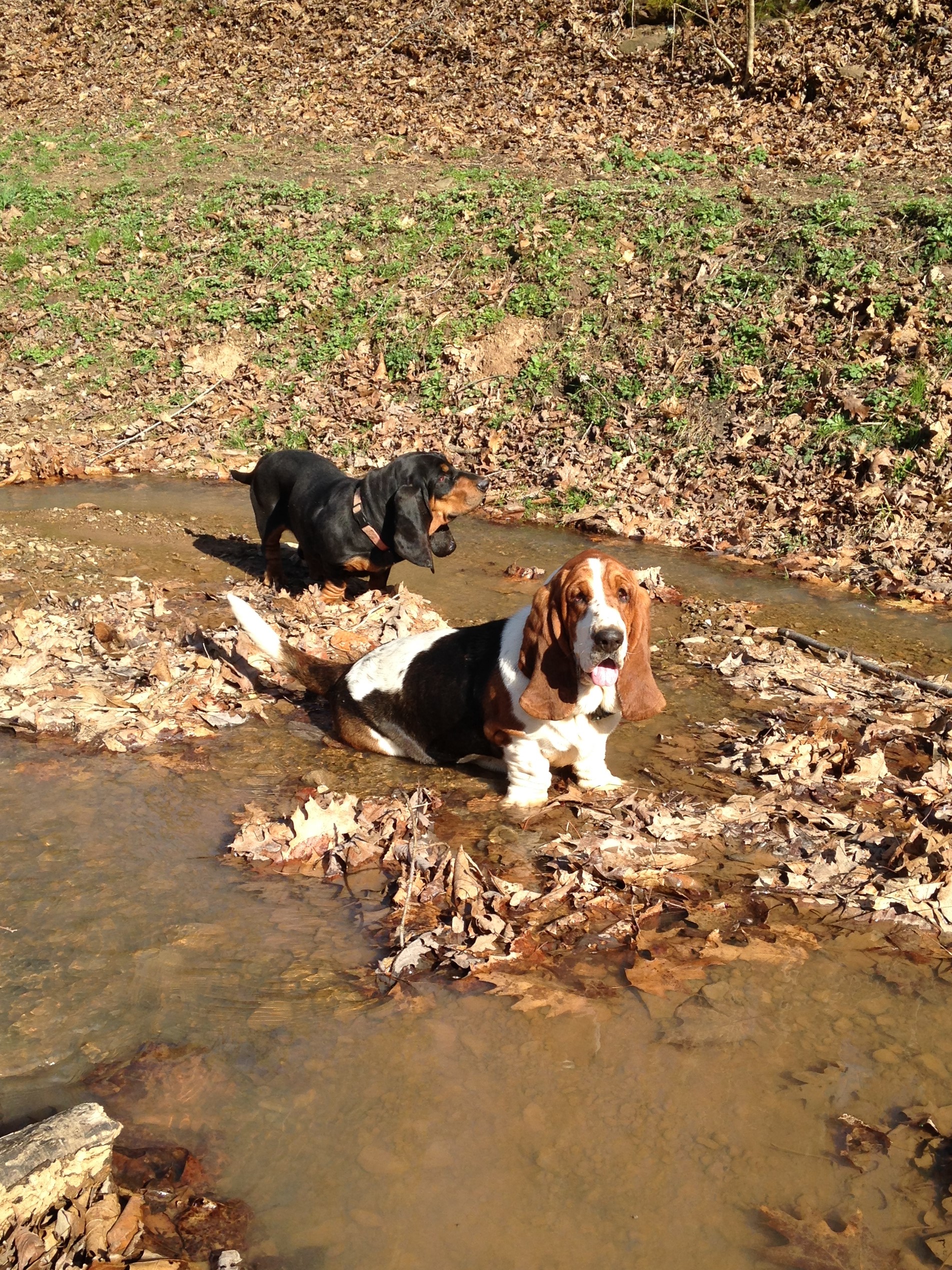 Cooling Off