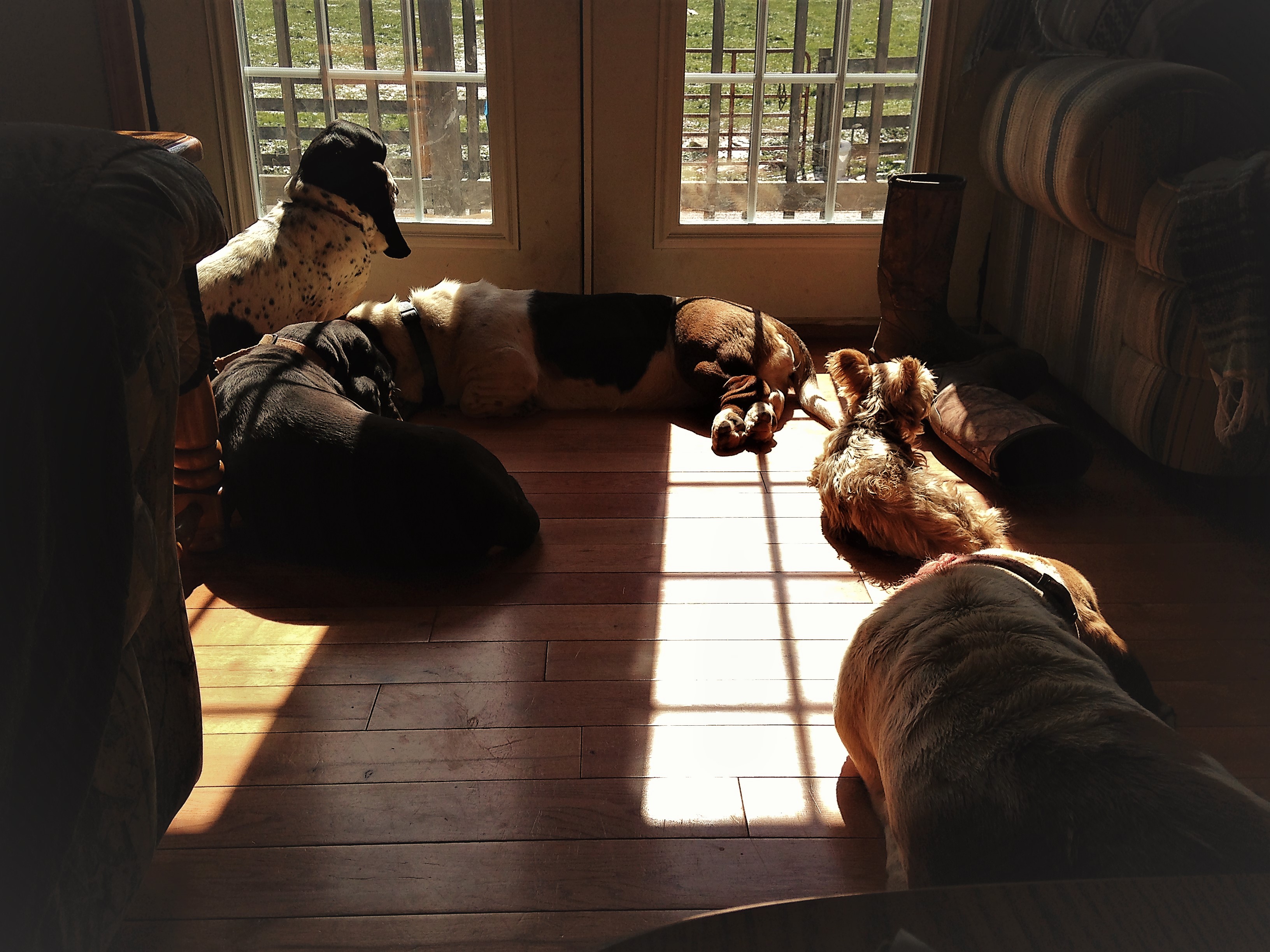 Sunbathing