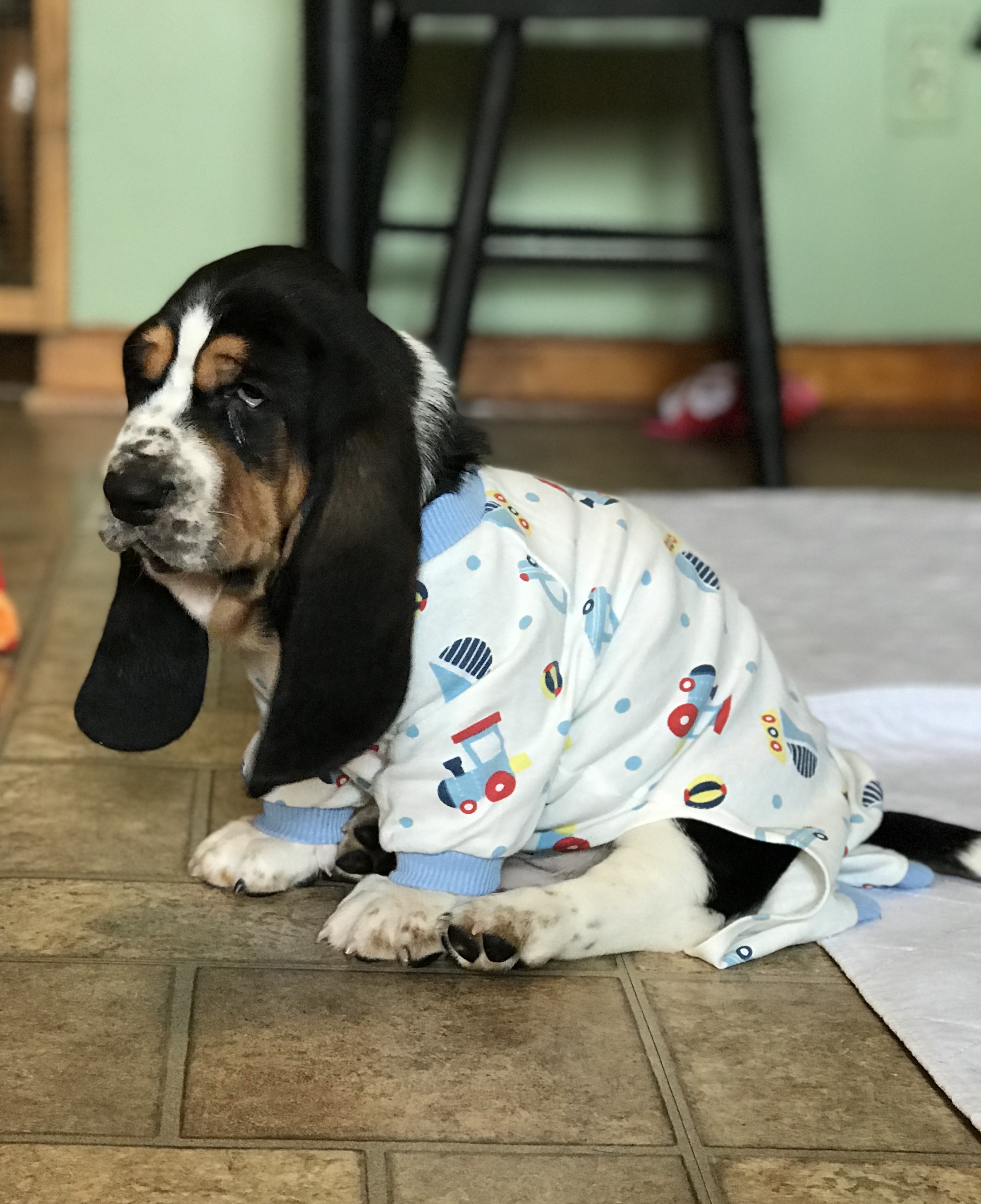 PJ Party