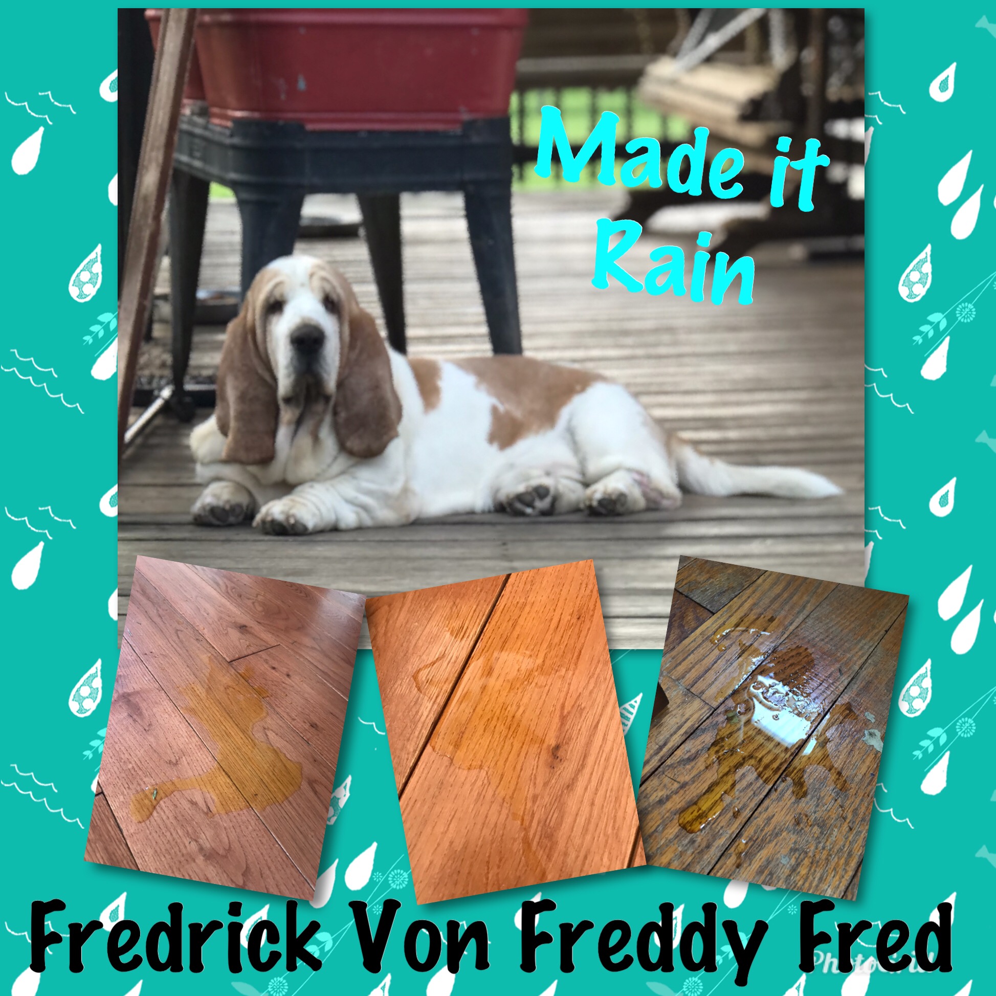 Fred