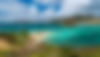 xlarge_Adobe_Stock_338755046_d7b6f48ac3.jpeg