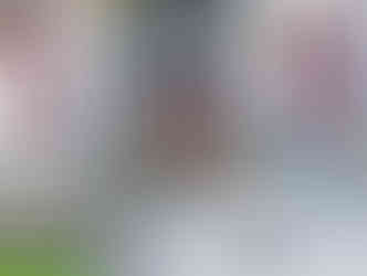 Strážce vstupu do libochovického zámku