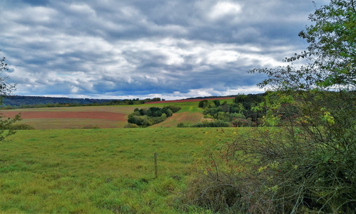 Krajina u Konětop v Přírodním parku Džbán