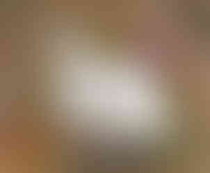 Až nenápadně působí hrob českého rock´n´rollového zpěváka Mikiho Volka na pražských Olšanech