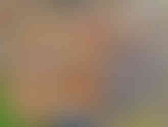 Jedno ze zastavení Geostezky v pražské zoologické zahradě