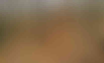 Přírodní památka Údolí Kunratického potoka