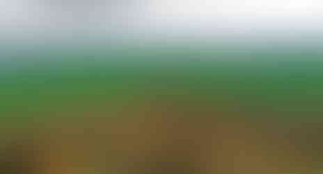 Sady pod vrchem Rohatec