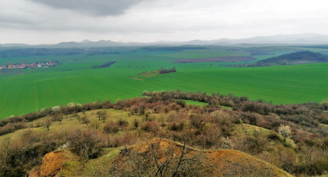 Sady pod vrchem Rohatec