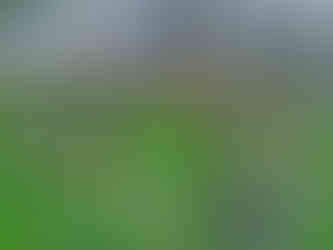 Na libochovickém židovském hřbitově je vidět na umístění náhrobků, jak postupovala doba