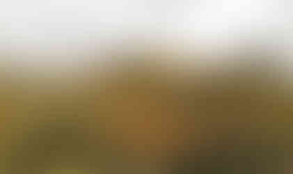 Vrchol Lipské hory se dokáže vklínit mezi rozkvetlé stromy