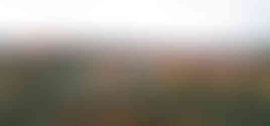 Nuselský most a televizní vysílač na Žižkově při pohledu z vyšehradské vyhlídky Gorlice