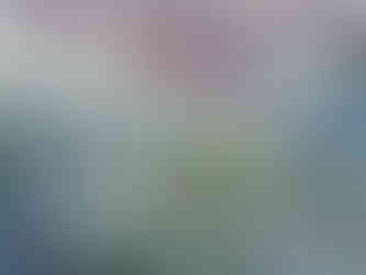 Jinovatka na trávě v blízkosti Divic