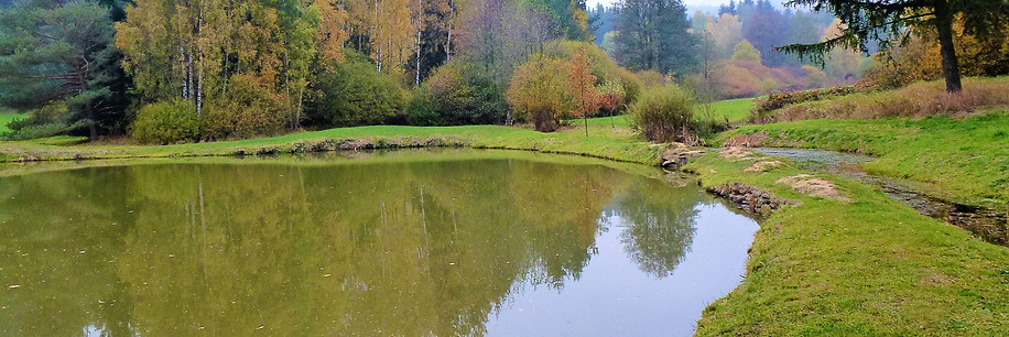 x - Podzim u Poláneckého mokřadu (VP).JP