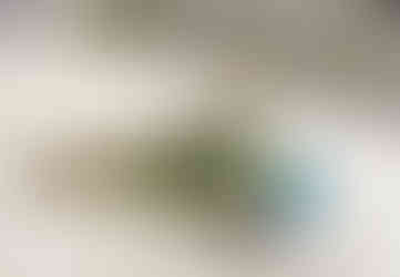 Pávi jsou na zámku v Libochovicích vděčným terčem pozornosti návštěvníků